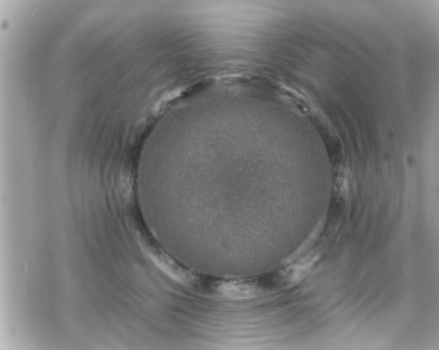 X0000070410568200606161414