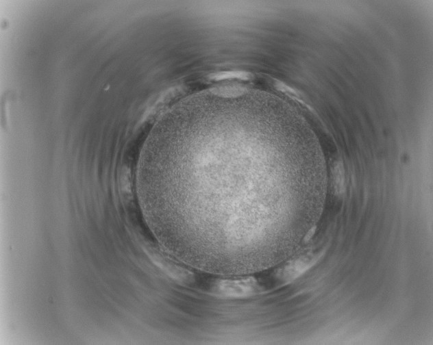 X0000070410571200606161414