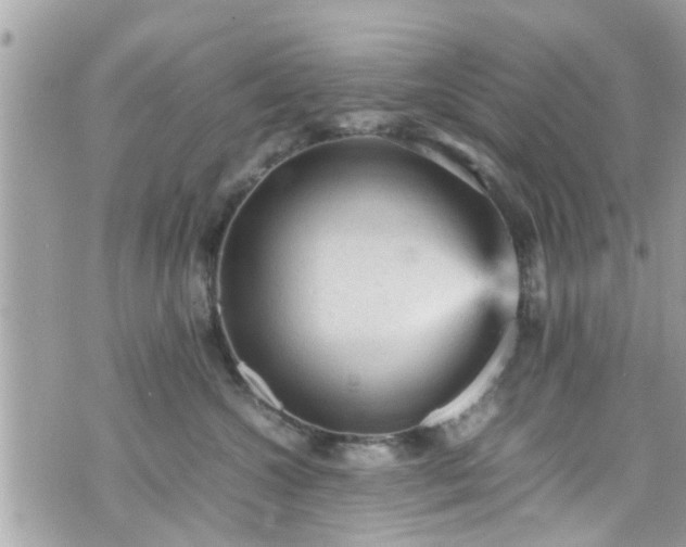 X0000070410572200606161414