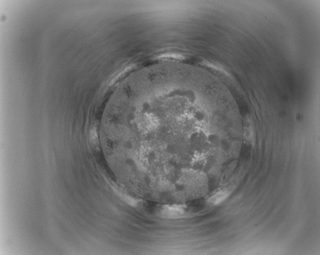 X0000070410573200606161414