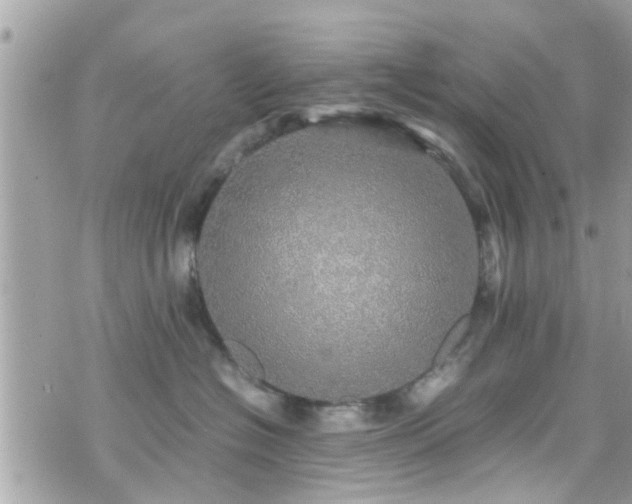 X0000070410574200606161414