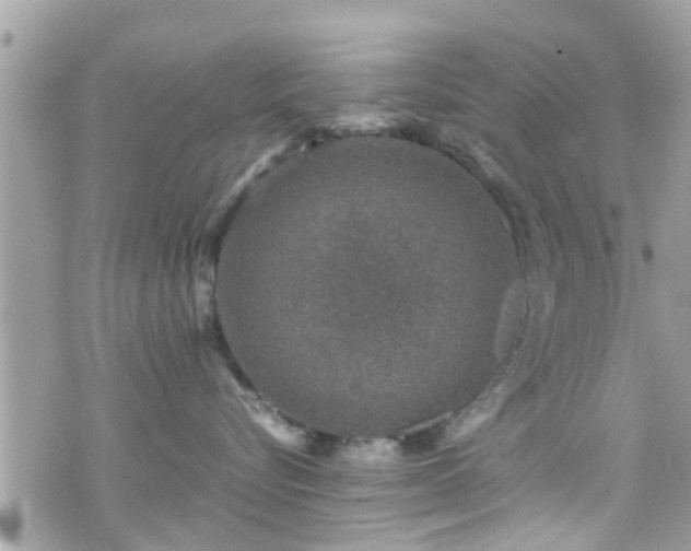 X0000070410576200606161414