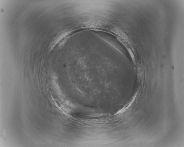 X0000070410577200606161413