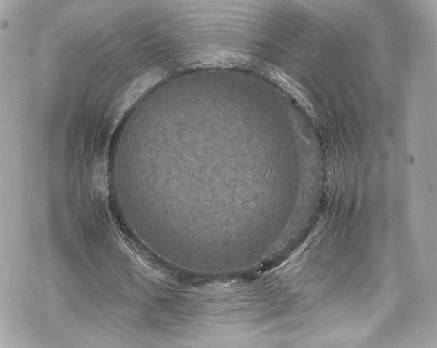 X0000070410578200606161413