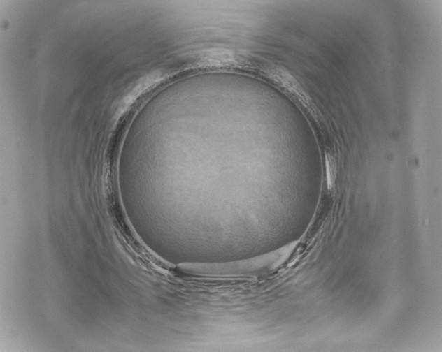 X0000070410579200606161413