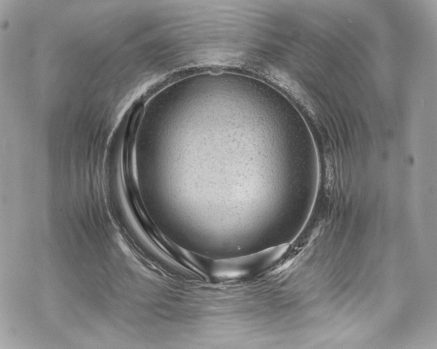 X0000070410580200606161413