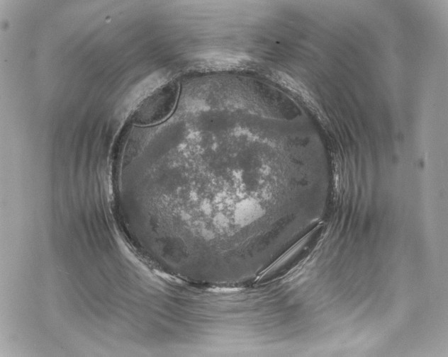 X0000070410582200606161413