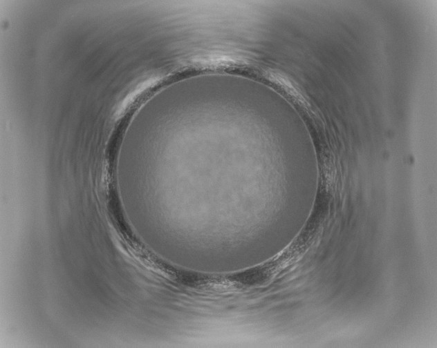 X0000070410583200606161413