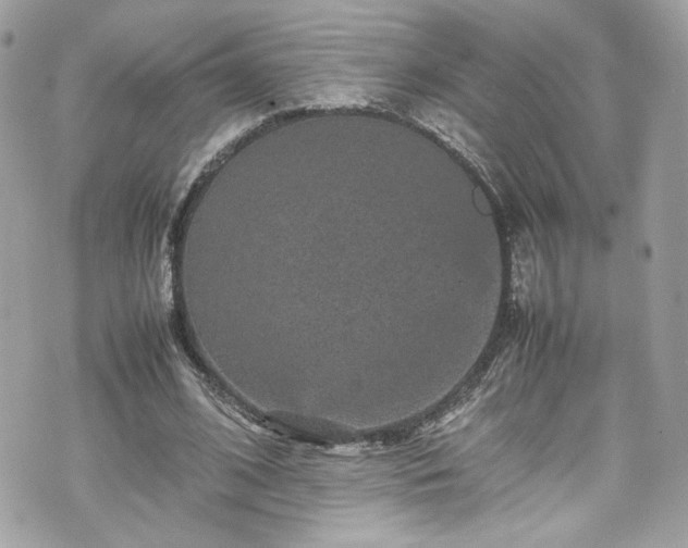 X0000070410584200606161413