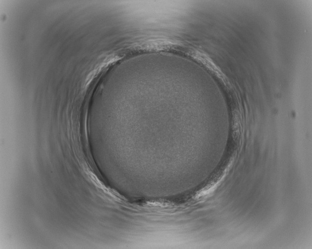 X0000070410585200606161413