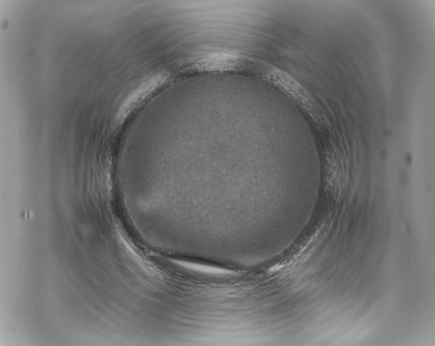 X0000070410586200606161413