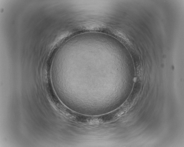 X0000070410587200606161413