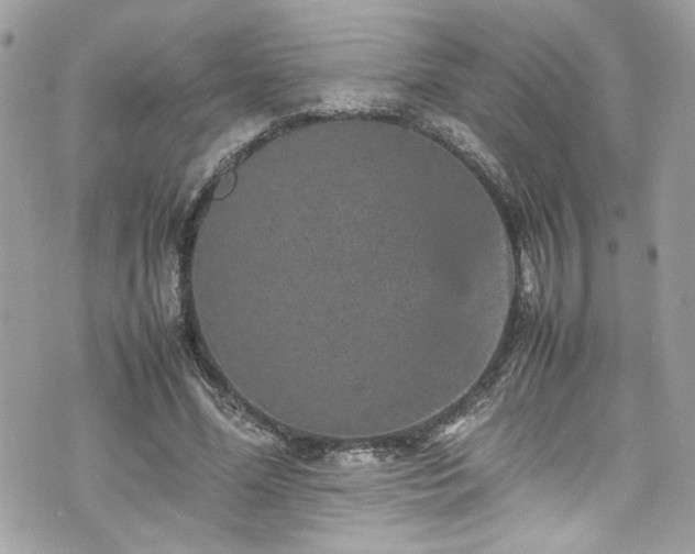 X0000070410588200606161413