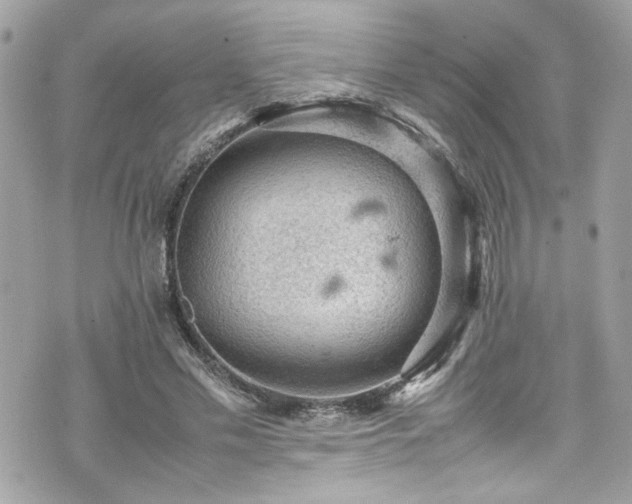 X0000070410589200606161413