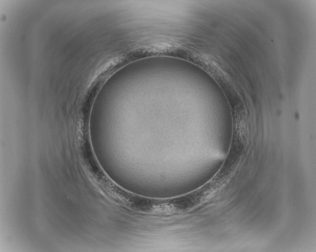 X0000070410591200606161413