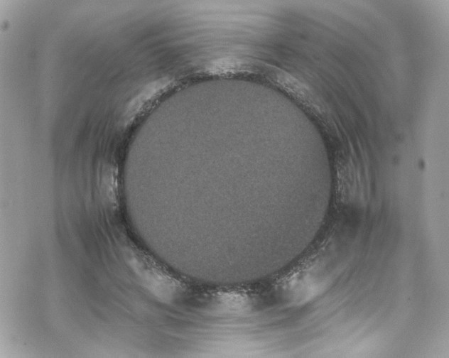 X0000070410592200606161413