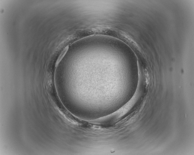 X0000070410593200606161413