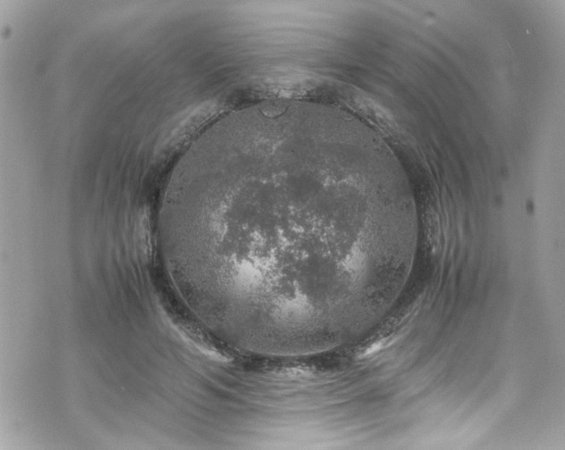 X0000070410594200606161413