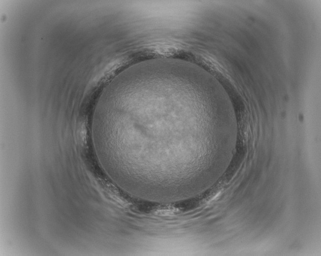 X0000070410595200606161413