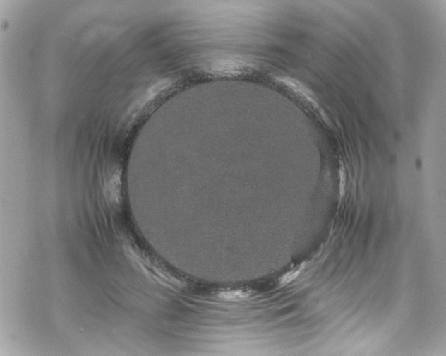 X0000070410596200606161413