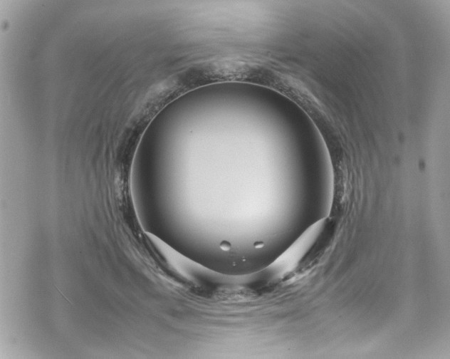 X0000070410597200606161413