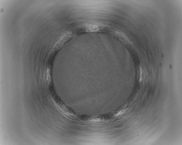 X0000070410598200606161413