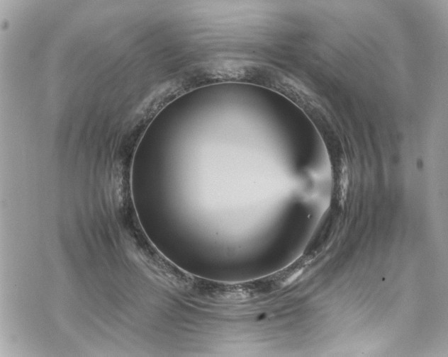 X0000070410600200606161413