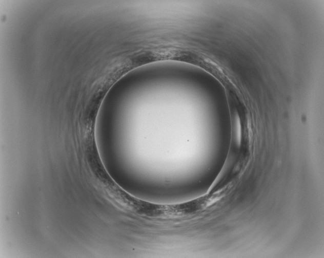 X0000070410601200606161413