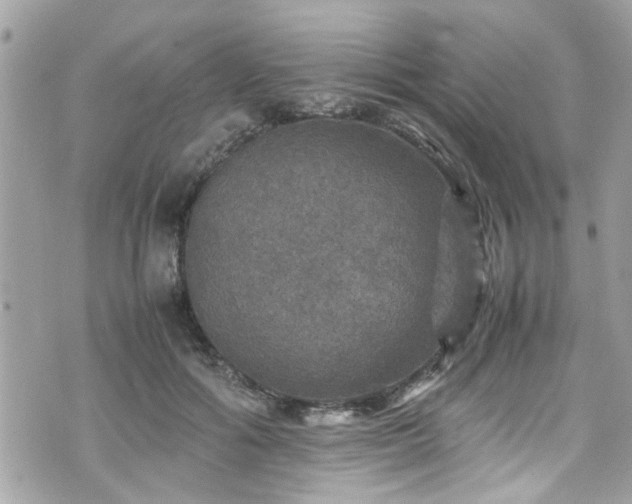 X0000070410602200606161413