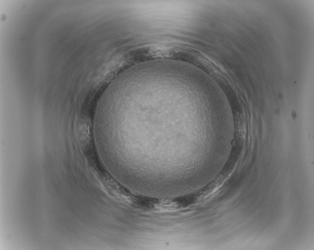 X0000070410603200606161413