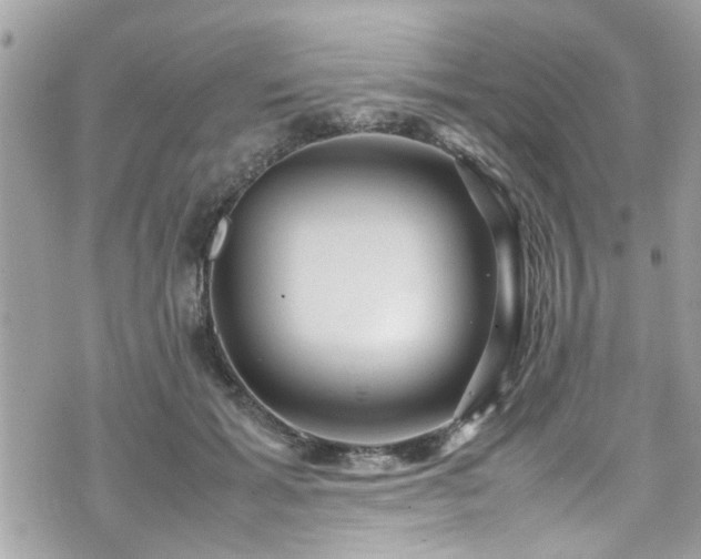 X0000070410605200606161413