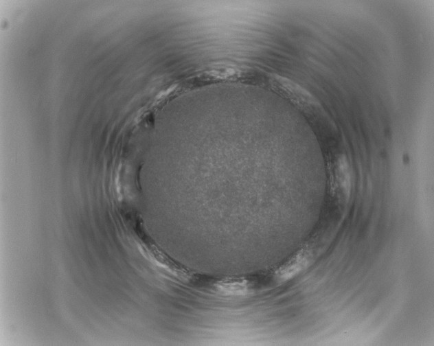 X0000070410606200606161413