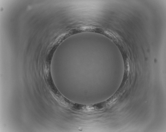 X0000070410607200606161413