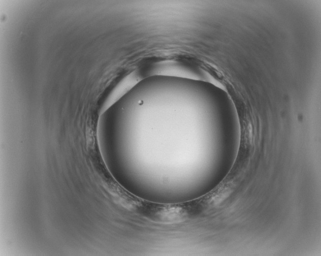 X0000070410609200606161413