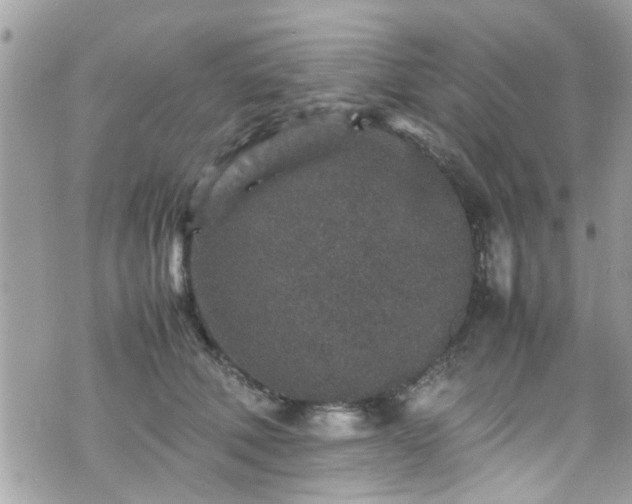 X0000070410610200606161413