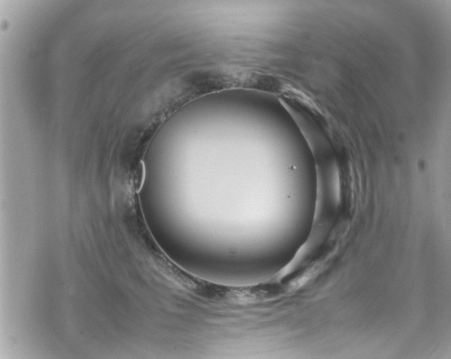 X0000070410613200606161413