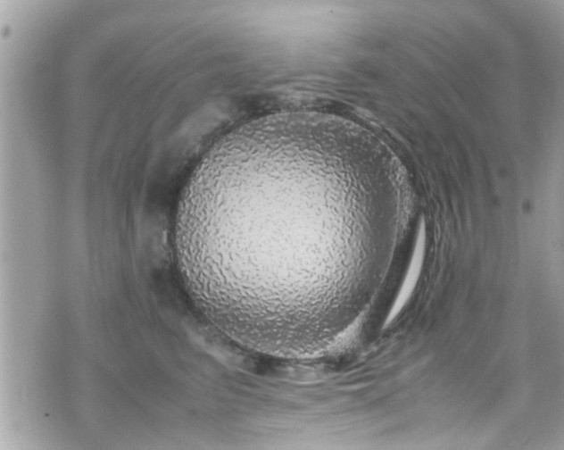 X0000070410615200606161413