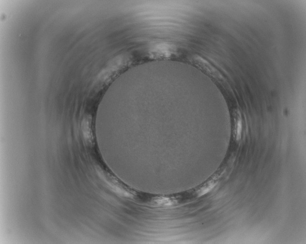 X0000070410616200606161413