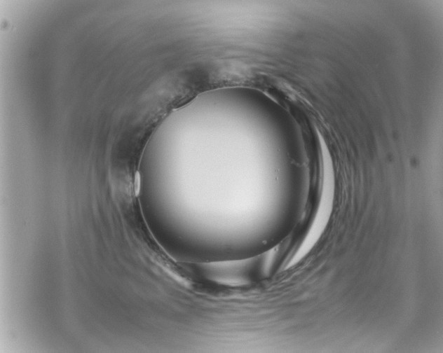 X0000070410617200606161413