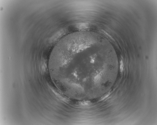 X0000070410618200606161413