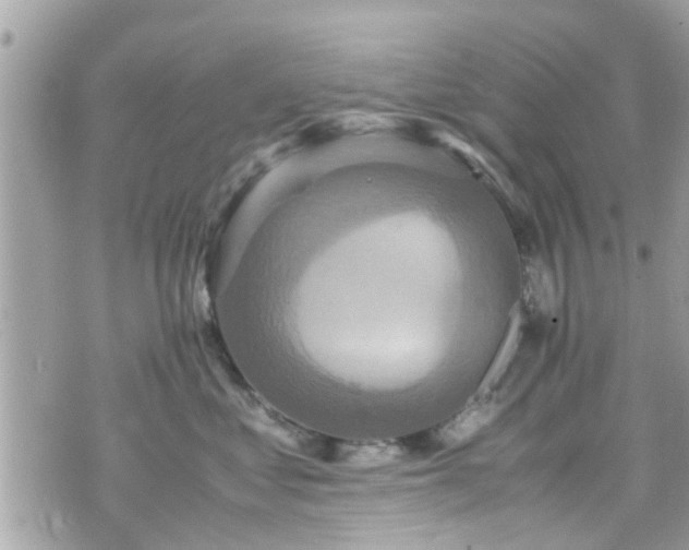 X0000070410621200606161413