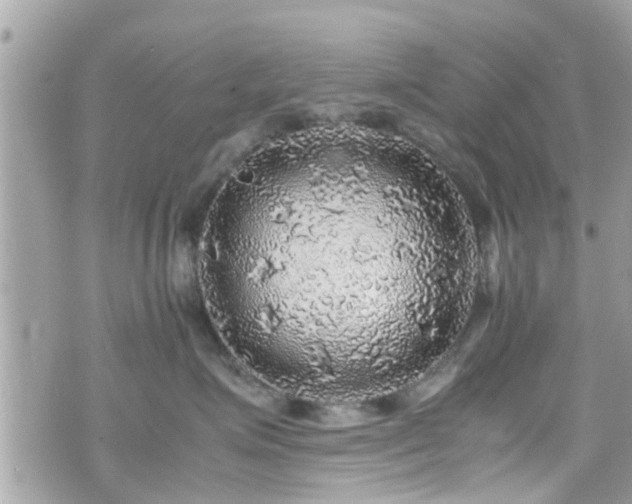 X0000070410623200606161413