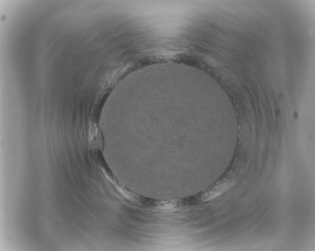 X0000070410624200606161413