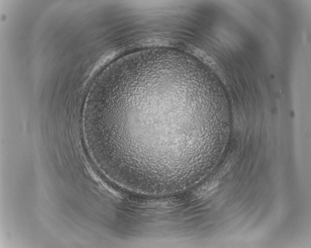 X0000070410625200606161412