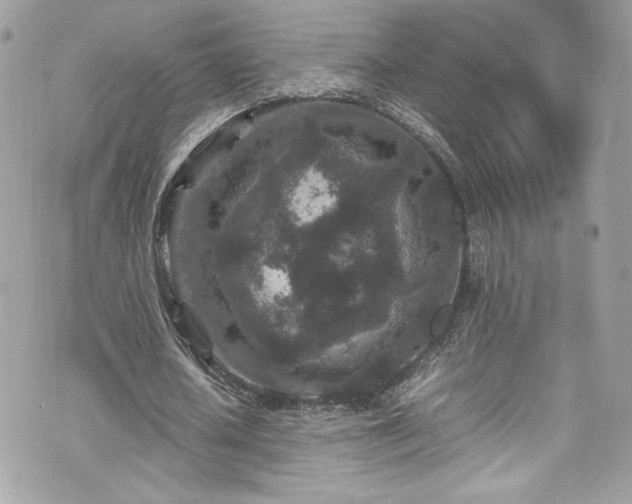 X0000070410626200606161412