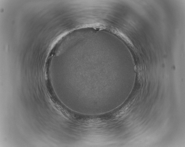 X0000070410628200606161412