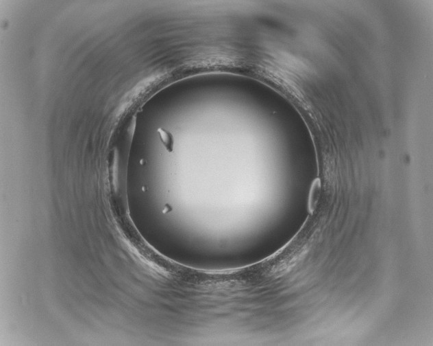 X0000070410629200606161412