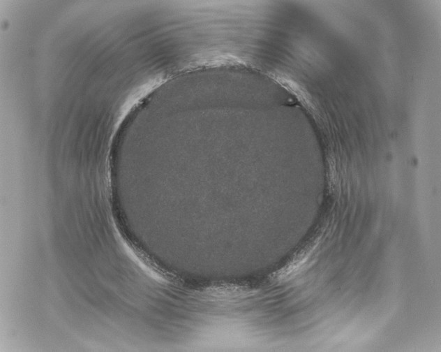 X0000070410630200606161412