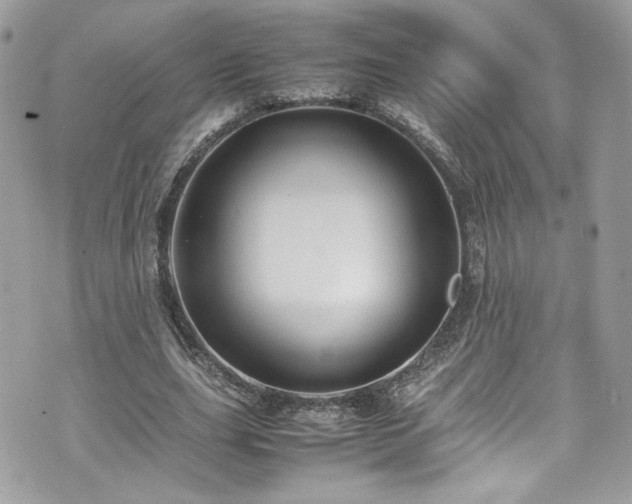 X0000070410631200606161412