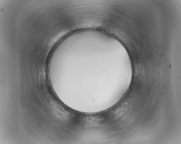 X0000070410632200606161412